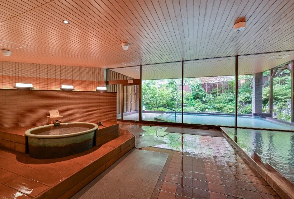 選べるせいろ定食付日帰りプラン