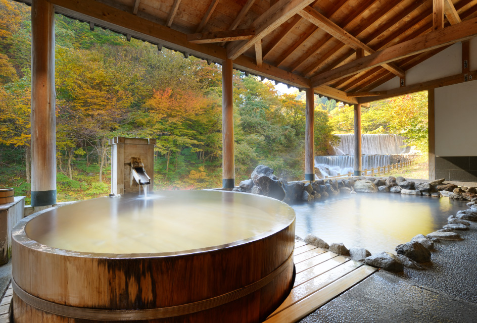 日帰り入浴プラン