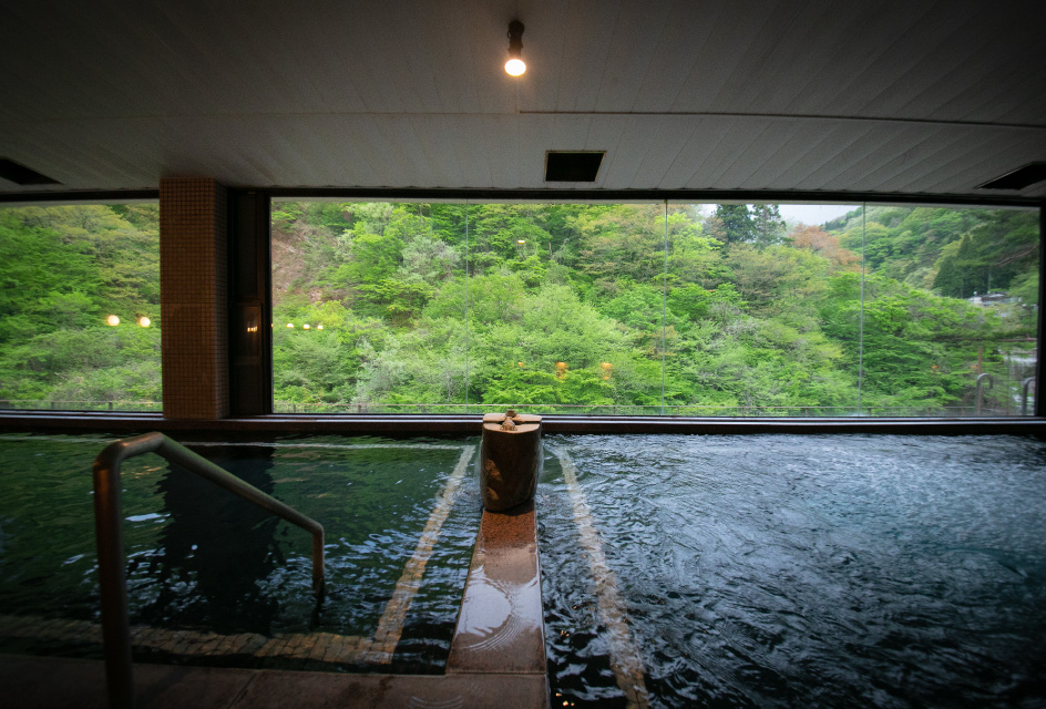 日帰り入浴プラン