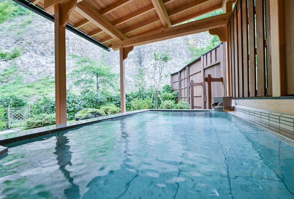 プール利用＋日帰り入浴プラン