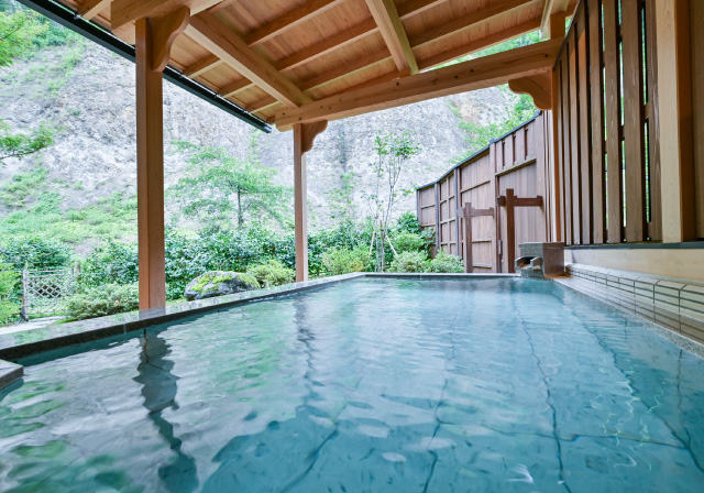 日帰り団体プラン